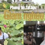 Phát triển kinh tế nông thôn từ những mô hình hiệu quả ở Bắc Giang
