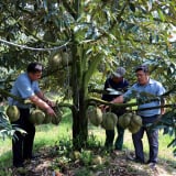 Tên tỉnh mới Đồng Tháp sau sáp nhập Tiền Giang, đây là lĩnh vực vẫn phải tăng cường quản lý