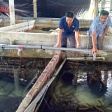 Trước ngày về thành phố mới Cần Thơ, Hậu Giang công bố một chỉ số quan trọng