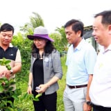 Tỉnh mới tên Vĩnh Long sau sáp nhập Trà Vinh, Bến Tre có một ấp nông thôn mới kiểu mẫu, văn minh và hiện đại thế này đây