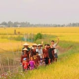 Câu chuyện dòng sông: Gợi mở tư duy vận hành chính quyền 2 cấp ở tỉnh Đồng Tháp