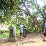Cận kề ngày sáp nhập Hải Phòng, người Hải Dương nâng niu, trân trọng, gìn giữ hồn đất, tình quê