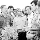 Tiếng nói của nông dân và những bài báo làm rung chuyển chính sách