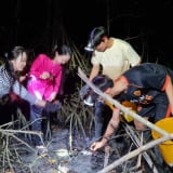 Đêm tối lội vô một khu rừng nổi tiếng Cà Mau bắt con tên mắc cười, 10 người vào 10 người vui