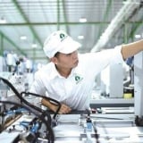 Chính thức về 'chung nhà' với Hải Phòng, Hải Dương 'mang theo một gia tài' xanh quan trọng
