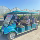Vừa sáp nhập với Khánh Hòa, những vườn nho của tỉnh Ninh Thuận cũ đã nô nức khách đến chụp hình