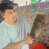 Tỷ phú Phú Thọ (mới) là nông dân nuôi con đặc sản, 'lắp cáp treo' chuyền thức ăn cho vạn con dúi, cả làng phục sát đất