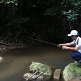Chuyện thật ở An Giang, lên núi cao câu thứ cá lạ, trông như cá lóc mà đâu có phải cá lóc