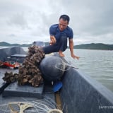 Vừa được giao mặt nước biển để nuôi trồng thủy sản, người nuôi biển Quảng Ninh lại lo vì mức tiền thuê quá cao 