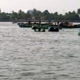 Sông lớn này ở Vĩnh Long xưa cá tôm bơi hàng đàn, nay bữa có bữa không khiến nghề gì đang bấp bênh?