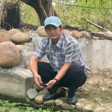 Nuôi con đặc sản hiền khô, dễ như ăn kẹo ở tỉnh Phú Yên cũ, bắt bao nhiêu bán hết bấy nhiêu