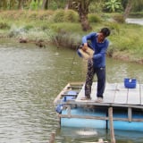 Sáp nhập tỉnh Bến Tre, Trà Vinh thành công, sản lượng thủy sản, hải sản của tỉnh Vĩnh Long đạt hơn 451.000 tấn