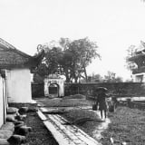 Văn Miếu – Quốc Tử Giám và bóng ma dịch bệnh năm 1903
