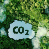 Thị trường tín chỉ carbon: Giá thế giới cao nhất gần 100 USD