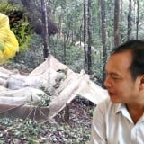 Phó Bí thư Thường trực tỉnh Quảng Ngãi (mới) chỉ đạo nóng về khắc phục hư hại cho người trồng sâm Ngọc Linh