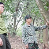 Tỉnh Bắc Ninh mới, có một khu rừng kỳ lạ, chim hoang dã bay rợp trời, hơn 30 năm chỉ 1 người trông coi