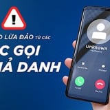 Nữ sinh ở Hải Phòng hoảng loạn đập lợn tiết kiệm chuyển khoản 47,8 triệu đồng vì bị kẻ giả công an hù dọa 