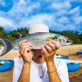 Làng cổ này ở Quảng Ngãi đẹp mê tơi, dân ra khơi bắt cá đối to bự, ăn bữa cơm quê mà ngon đáo để