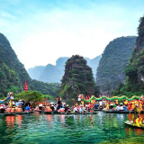 Đến một nơi núi non, sông nước ở tỉnh Ninh Bình, có người chỉ thích coi loài cây này