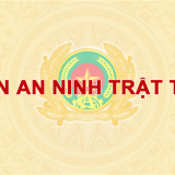 Bắt doanh nhân người Mỹ vì trốn hơn 3,2 tỷ đồng tiền thuế 