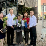 Phường Vũng Tàu, TPHCM, Bí thư Đảng ủy bỏ tiền mua hoa Huỳnh Anh từ tỉnh Đồng Tháp về trồng ở khu phố