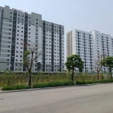 Nữ giới có thuộc đối tượng ưu tiên mua nhà ở xã hội?