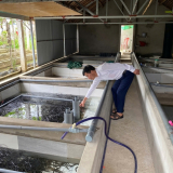 Nuôi con đặc sản bình dân kiểu lạ, một nông dân Nghệ An phát tài hẳn lên
