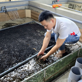 Rời phố về quê, trai làng Quảng Trị nuôi con vật này dày đặc, chưa từng bị 'quá lứa'