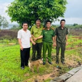 Nhân viên nhà máy điện mang con vật có cái đuôi y đuôi con lợn này nộp cho công an xã ở tỉnh Lâm Đồng (Bình Thuận cũ)