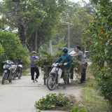 Phường Đông A, tỉnh Ninh Bình mới (địa phận thành phố Nam Định cũ) có tuyến đường nông thôn mới quan trọng này