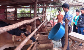  Nông dân vươn lên từ vùng đất khó, góp sức xây dựng bản làng