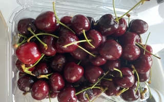 Cherry Chile giá rẻ bất ngờ, nhiều người nghi ngờ hàng Trung Quốc