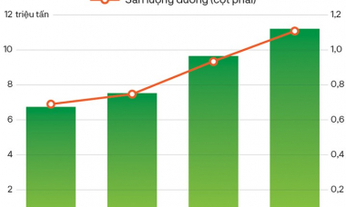 Điều gì sẽ xảy ra với ngành đường khi thuế chống bán phá giá hết hiệu lực?