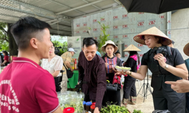 Thái Nguyên bán ra hơn 7,6 triệu sản phẩm trên sàn thương mại điện tử, doanh số gần 500 tỷ đồng