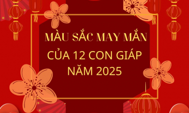 Màu sắc may mắn của 12 con giáp năm 2025 là gì?