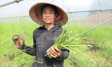 Xã Pắc Ta ở Lai Châu gặt hái những “trái ngọt” trong phát triển kinh tế - xã hội