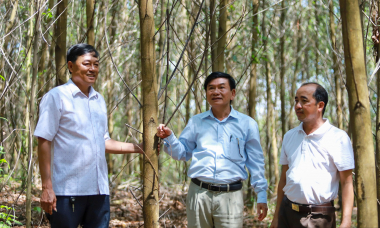 Quảng Trị vươn mình cùng dân tộc: Từ 'đất lửa' đến 'điểm sáng' kinh tế (Bài 1)