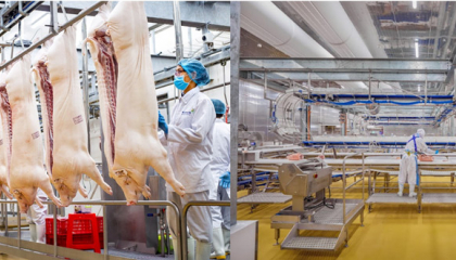 Bước ngoặt lợi nhuận của Masan MEATLife trong năm 2024