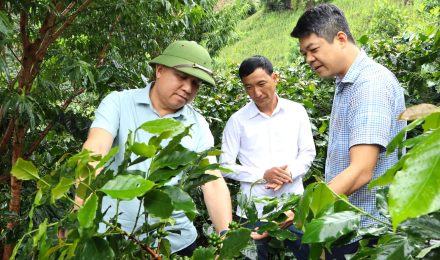 Điện Biên: Quyết tâm tinh gọn bộ máy để phát triển