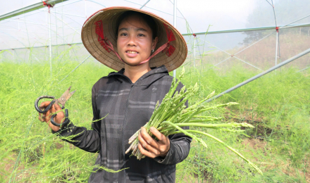 Xã Pắc Ta ở Lai Châu gặt hái những “trái ngọt” trong phát triển kinh tế - xã hội