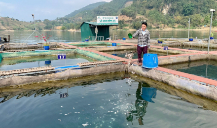 Khẳng định vai trò của Hội Nông dân Hòa Bình trong phát triển nông nghiệp, nông thôn