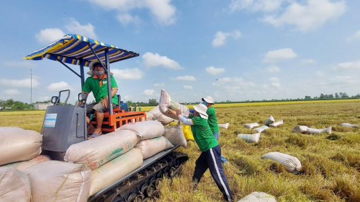 Lập đỉnh 9 triệu tấn gạo xuất khẩu: Liệu 2025 có tiếp tục bứt phá?