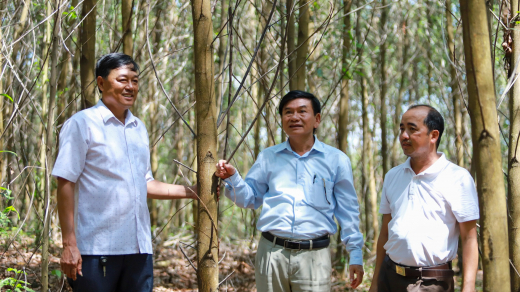 Quảng Trị vươn mình cùng dân tộc: Từ 'đất lửa' đến 'điểm sáng' kinh tế (Bài 1)