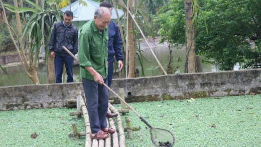 Lão nông Lào Cai làm giàu từ mô hình nuôi ốc nhồi