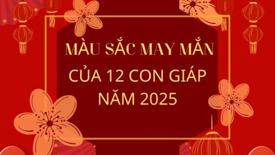 Màu sắc may mắn của 12 con giáp năm 2025 là gì?