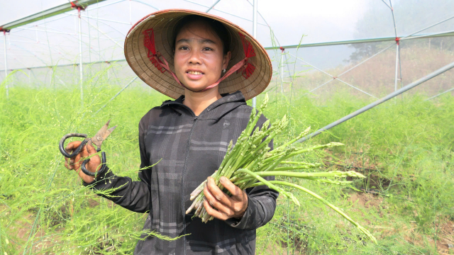 Xã Pắc Ta ở Lai Châu gặt hái những “trái ngọt” trong phát triển kinh tế - xã hội