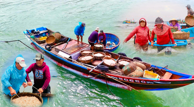 Nét đẹp ở bến bãi ngang của Quảng Ngãi trong vụ đánh bắt đầu xuân 2025