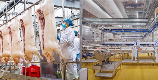 Bước ngoặt lợi nhuận của Masan MEATLife trong năm 2024