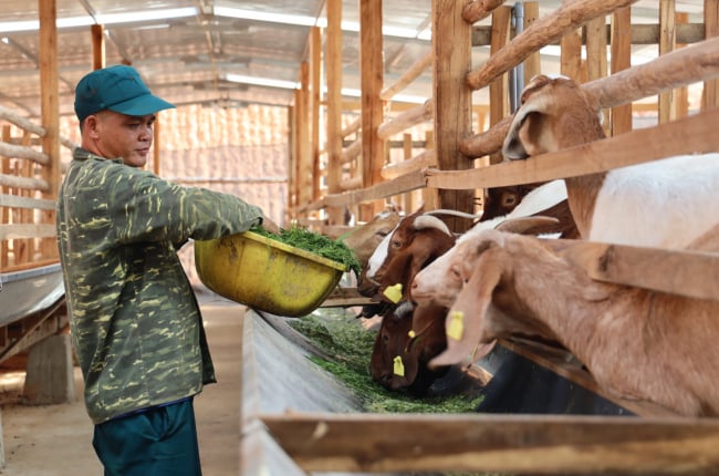 Nông dân thi đua sản xuất, kinh doanh giỏi, đoàn kết giúp nhau làm giàu ở huyện biên giới