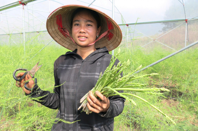 Xã Pắc Ta ở Lai Châu gặt hái những “trái ngọt” trong phát triển kinh tế - xã hội